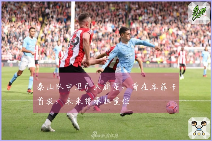 泰山队中卫引入新星，曾在本菲卡首发，未来将承担重任
