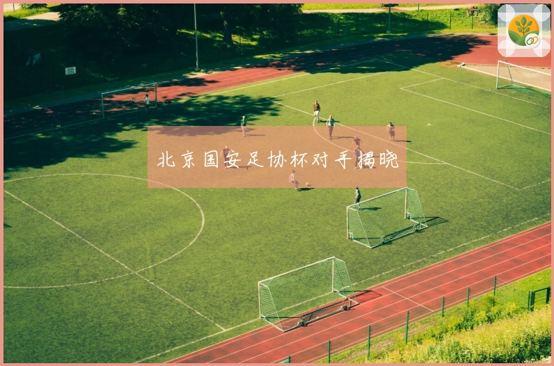 北京国安足协杯对手揭晓