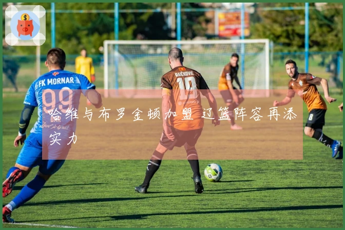 哈维与布罗金顿加盟 辽篮阵容再添实力