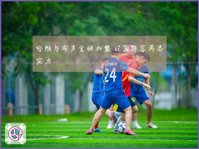 哈维与布罗金顿加盟 辽篮阵容再添实力